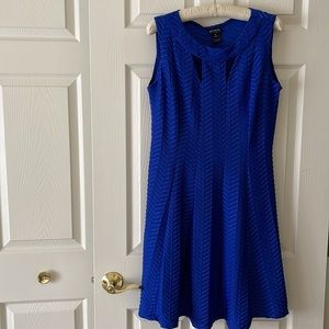 EN FOCUS STUDIO Size 10 Royal Blue Dress
